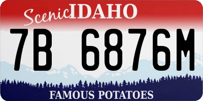 ID license plate 7B6876M