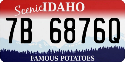 ID license plate 7B6876Q