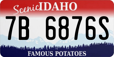 ID license plate 7B6876S