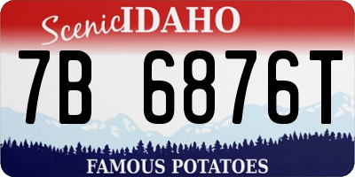 ID license plate 7B6876T