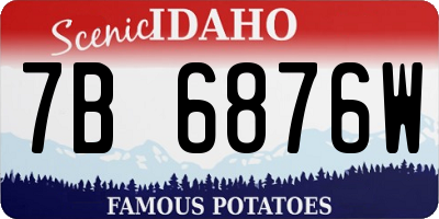 ID license plate 7B6876W
