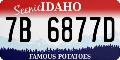 ID license plate 7B6877D