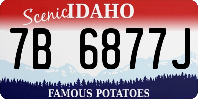 ID license plate 7B6877J