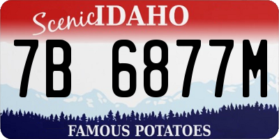 ID license plate 7B6877M