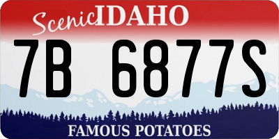 ID license plate 7B6877S