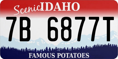ID license plate 7B6877T