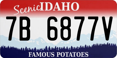 ID license plate 7B6877V