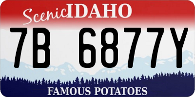 ID license plate 7B6877Y