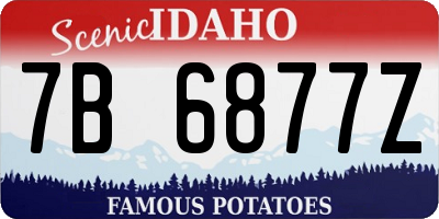 ID license plate 7B6877Z