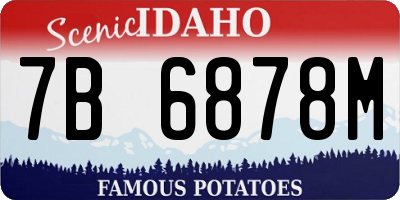ID license plate 7B6878M