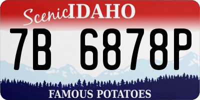 ID license plate 7B6878P