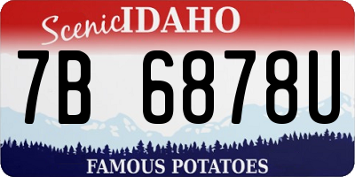 ID license plate 7B6878U