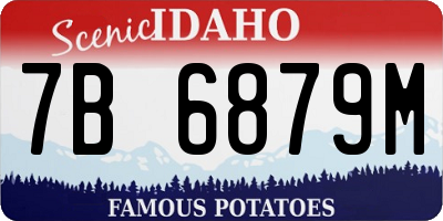 ID license plate 7B6879M