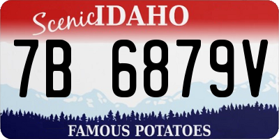 ID license plate 7B6879V
