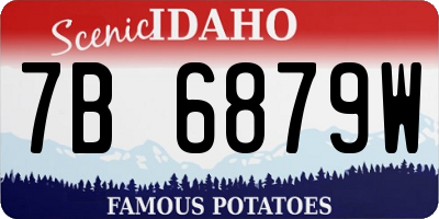 ID license plate 7B6879W