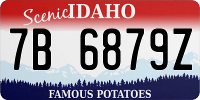 ID license plate 7B6879Z