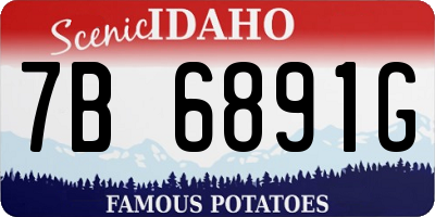 ID license plate 7B6891G