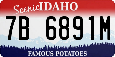 ID license plate 7B6891M
