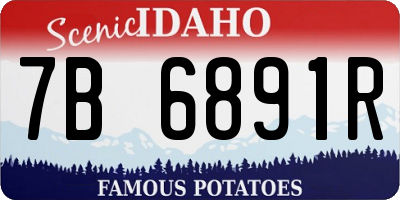 ID license plate 7B6891R