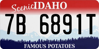 ID license plate 7B6891T