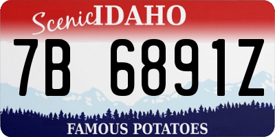 ID license plate 7B6891Z