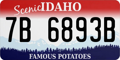 ID license plate 7B6893B