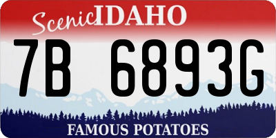 ID license plate 7B6893G