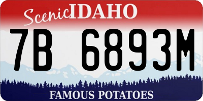 ID license plate 7B6893M