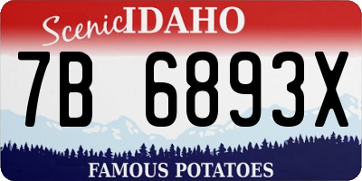 ID license plate 7B6893X
