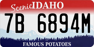 ID license plate 7B6894M
