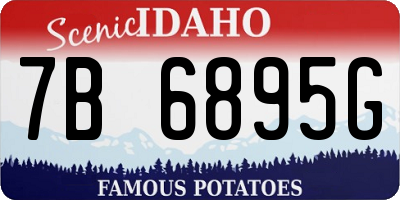 ID license plate 7B6895G