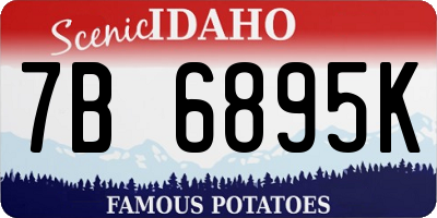 ID license plate 7B6895K