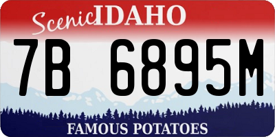 ID license plate 7B6895M
