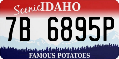 ID license plate 7B6895P