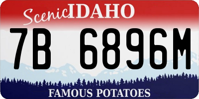 ID license plate 7B6896M