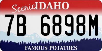 ID license plate 7B6898M