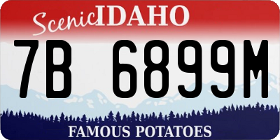 ID license plate 7B6899M