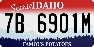 ID license plate 7B6901M