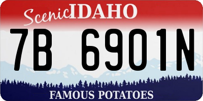 ID license plate 7B6901N