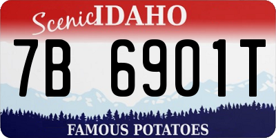 ID license plate 7B6901T