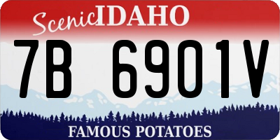 ID license plate 7B6901V