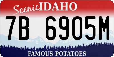 ID license plate 7B6905M