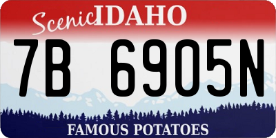 ID license plate 7B6905N