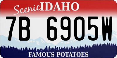 ID license plate 7B6905W