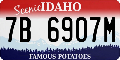 ID license plate 7B6907M