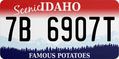 ID license plate 7B6907T
