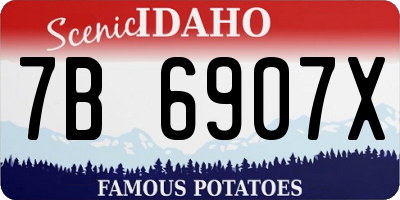 ID license plate 7B6907X