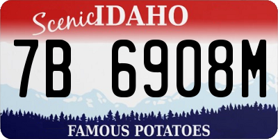ID license plate 7B6908M