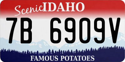 ID license plate 7B6909V