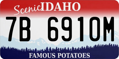ID license plate 7B6910M
